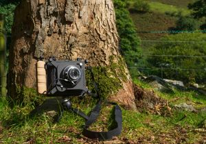 Free UK Shipping From Chroma